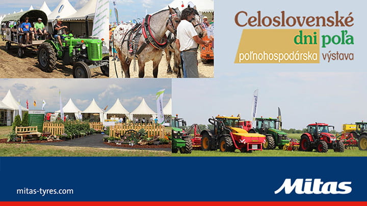 mitas_slovenskednipola-preview